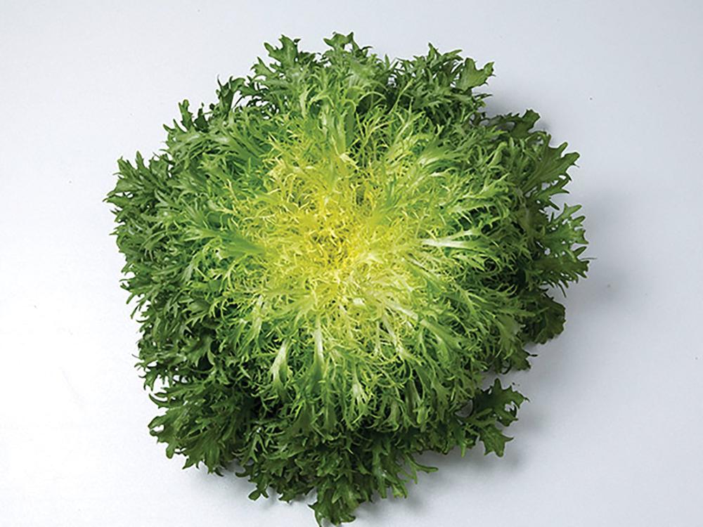 Endive, Benefine Organic Packet