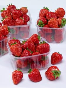 Strawberries, Rowena Hybrid Packet