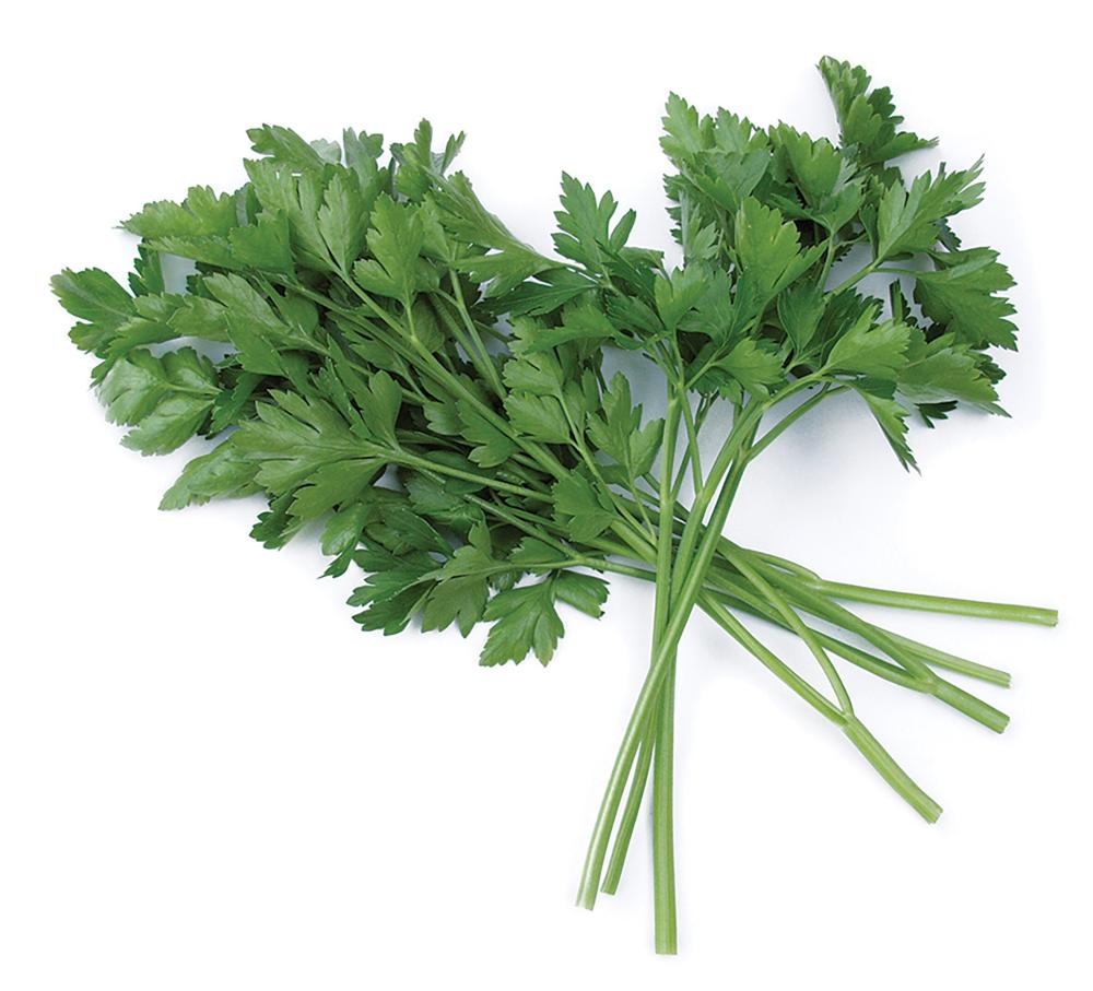 Parsley, Laica Organic Packet