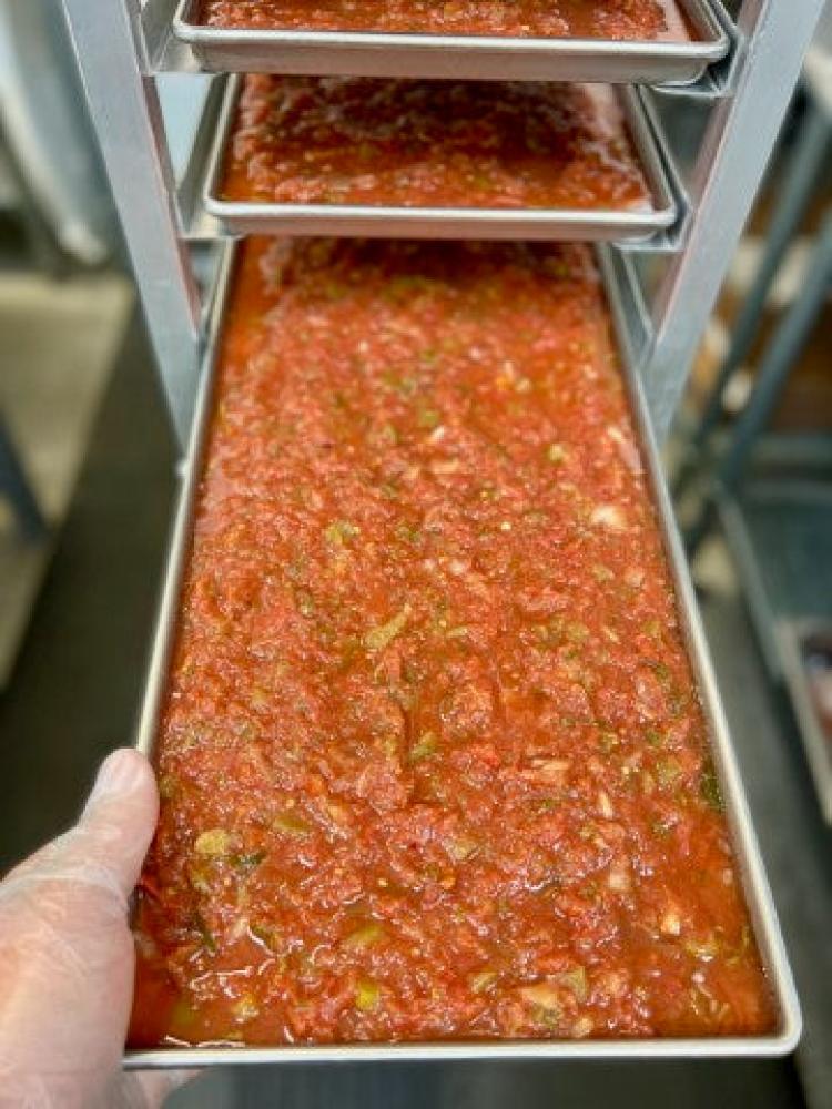Freeze Dried Fresh Salsa