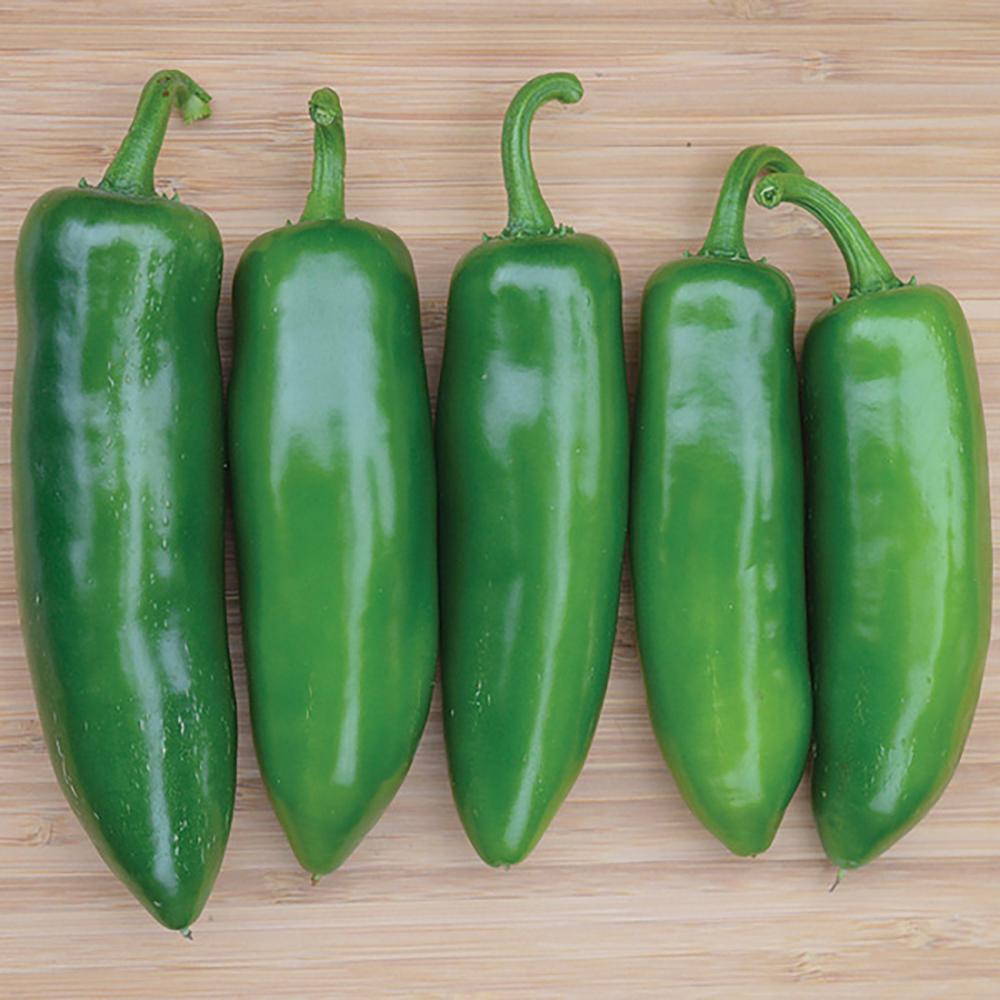 Pepper, Tricked You Hybrid Packet