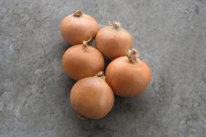 Onion, Powell Hybrid Organic Packet