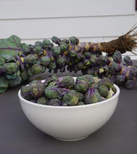 Brussels Sprouts, Redarling Hybrid Packet