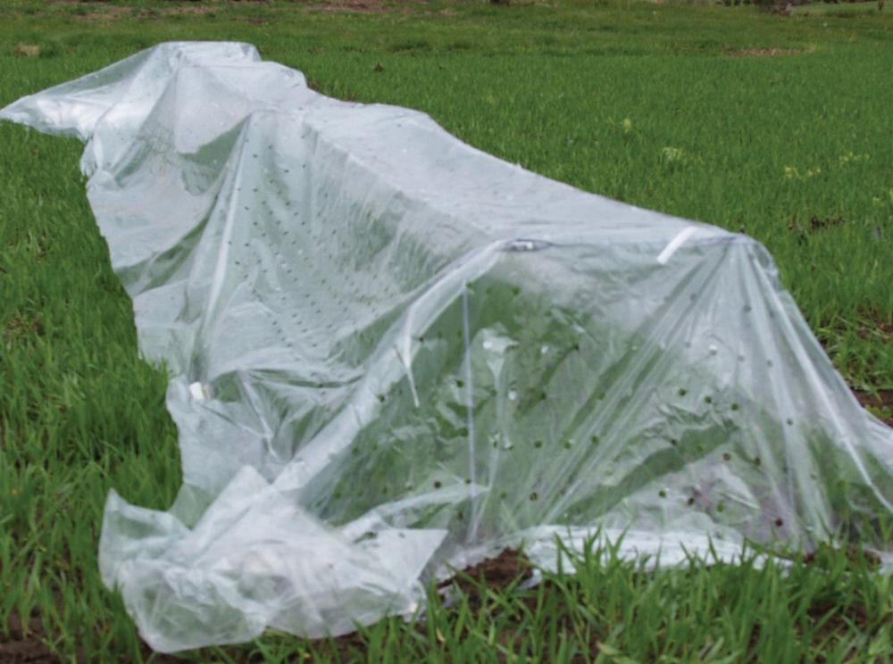 Row Covers, Mini-Tunnel 50 feet plastic & 6 hoops