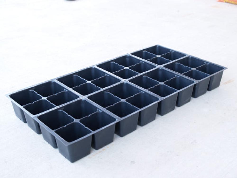 Paks, Pots, and Trays, Cell Inserts 8x4 5 paks