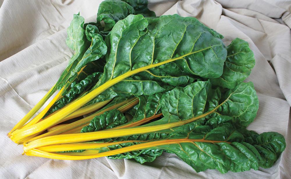 Swiss Chard, Eldorado Packet