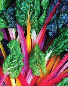 Swiss Chard, Bright Lights Packet