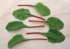 Swiss Chard, Fire Fresh Hybrid Packet