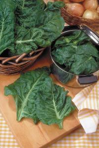Swiss Chard, Green Perpetual Packet