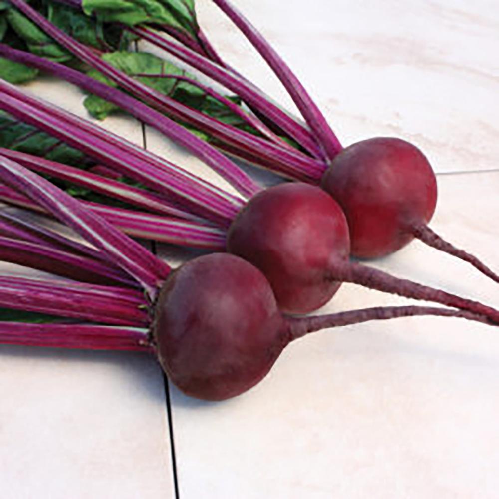 Beets, Early Wonder AC Strain Packet