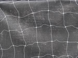 Netting, Bean & Pea Netting 60" x 40ft 40 feet