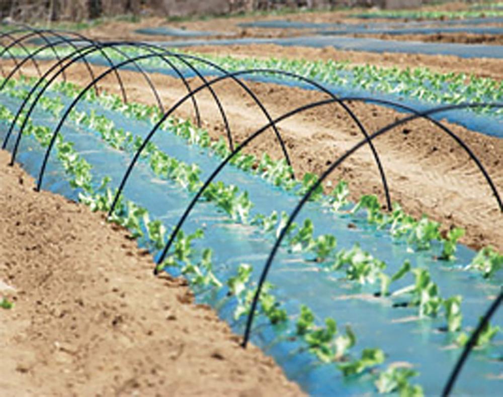 Row Covers, PVC Hoops 25 hoops