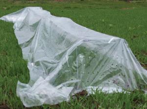 Row Covers, Mini Tunnel Replacement Plastic 50 feet
