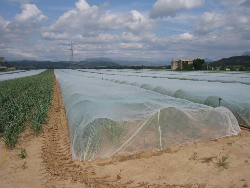 Netting, Insect Netting 6.9' x 25' 25 feet