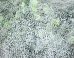 Row Covers, Agryl P-12 5ft x 50ft 50 feet