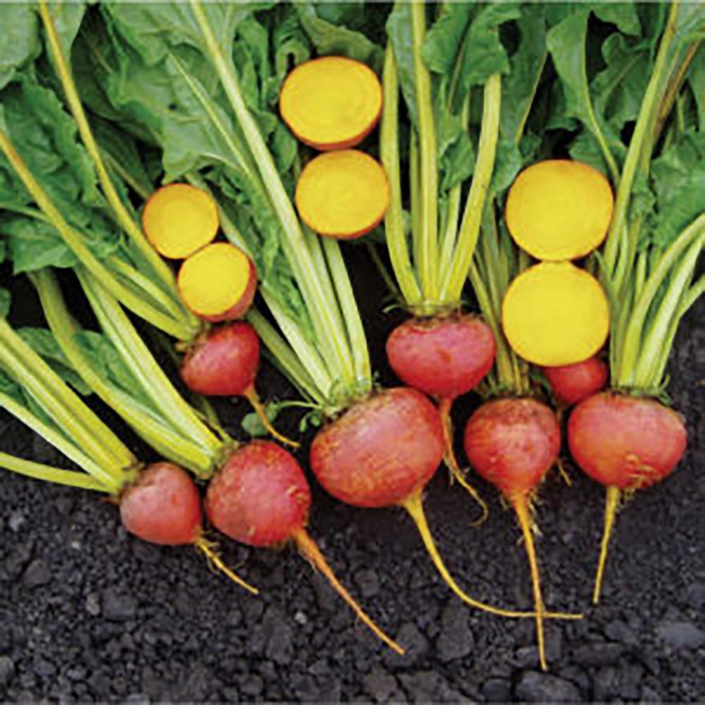 Beets, Touchstone Gold Organic Packet
