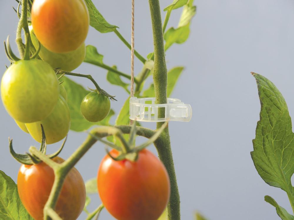 Crop Supports, COMPOSTABLE Plant Clips 25 clips