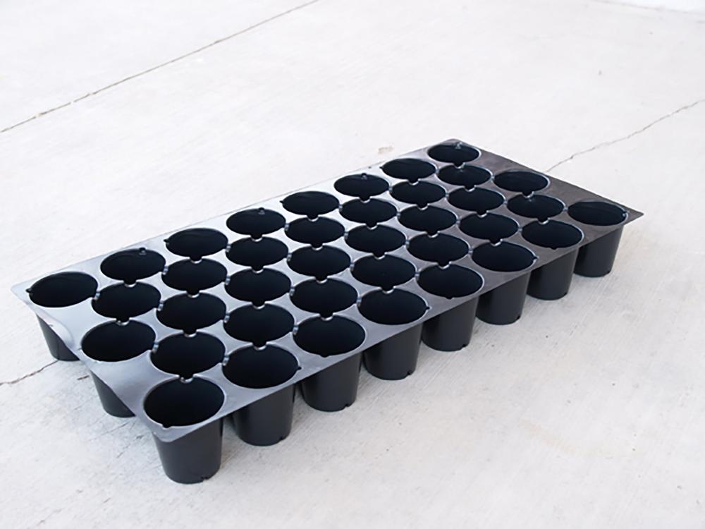 Paks, Pots, and Trays, Plug Sheet 38 cells 5 sheets