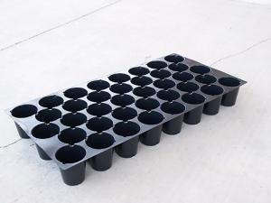 Paks, Pots, and Trays, Plug Sheet 38 cells 5 sheets