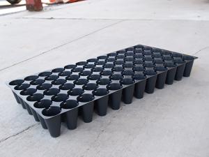 Paks, Pots, and Trays, Plug Sheet 72 cells 5 sheets