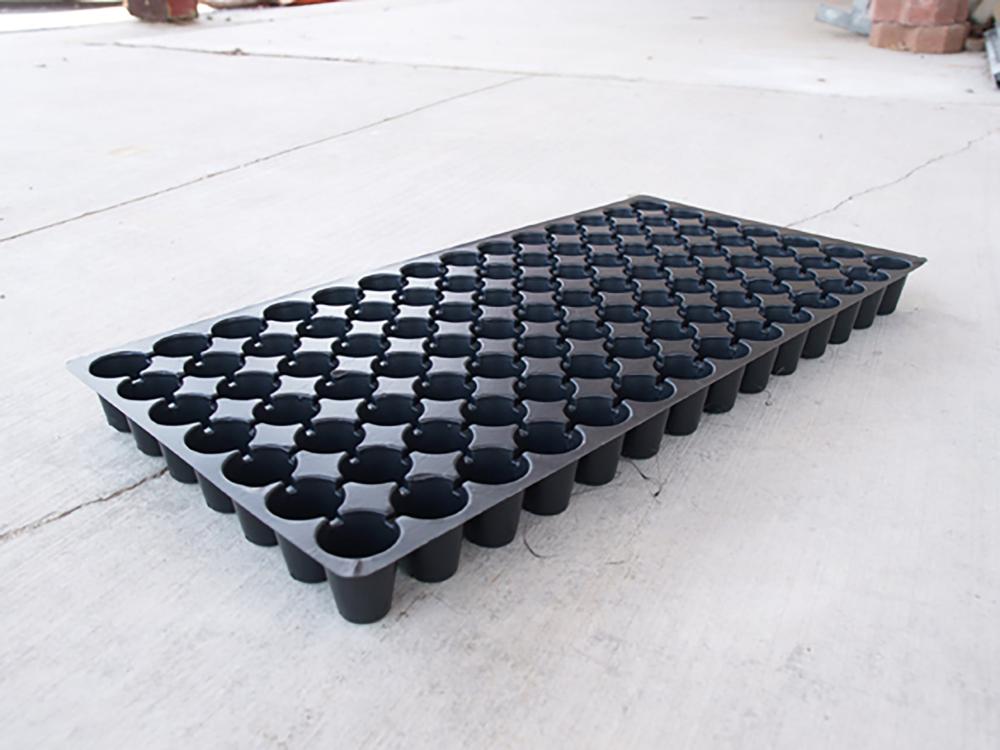 Paks, Pots, and Trays, Plug Sheet 98 cells 5 sheets