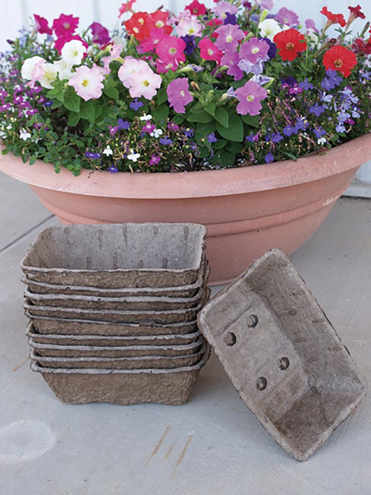 Paks, Pots, and Trays, Fibre Trays 10 trays