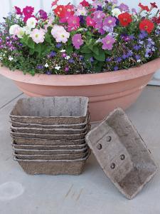 Paks, Pots, and Trays, Fibre Trays 10 trays