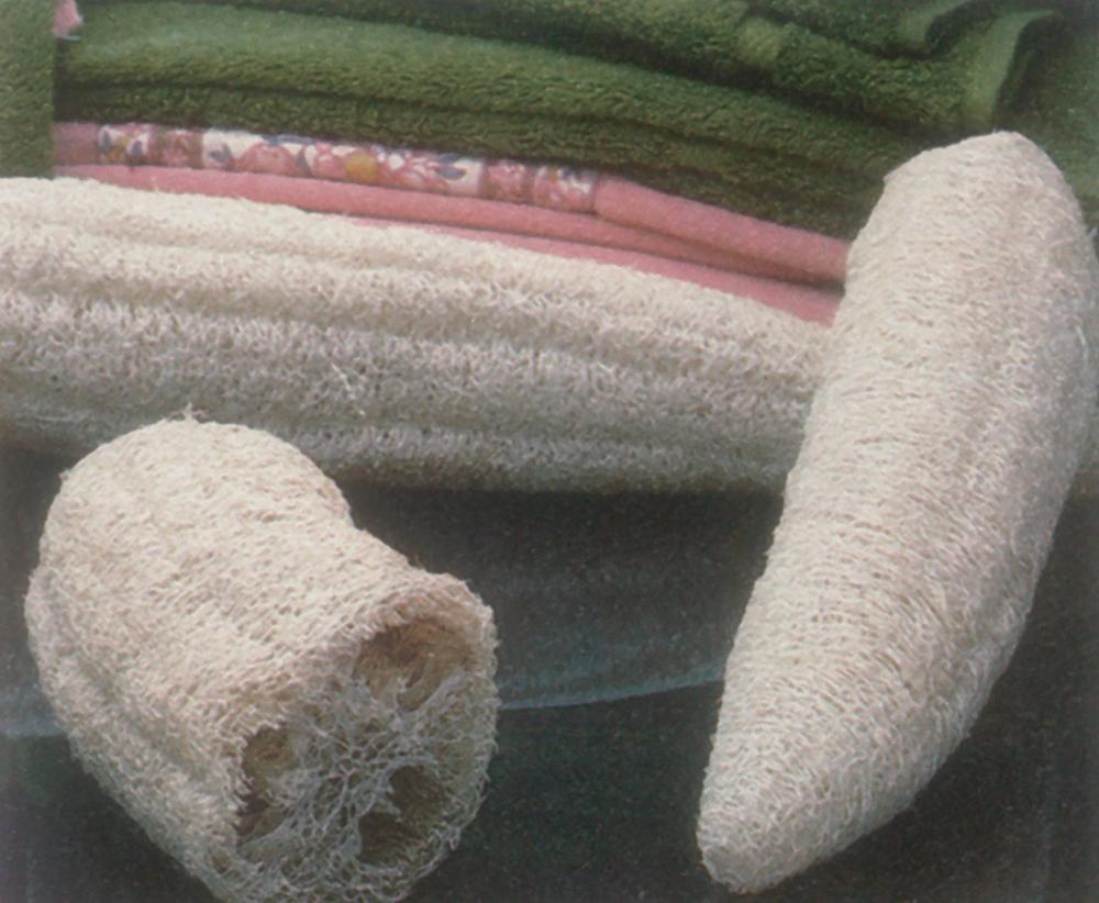 Gourds, Luffa Hybrid Cylinder #3 Packet
