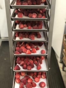 Freeze Dried Halved and Whole Strawberries