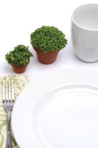 Ornamental Mint, Mini Mint Packet