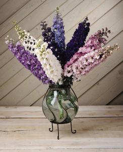 Delphinium, Magic Fountains Mix Packet