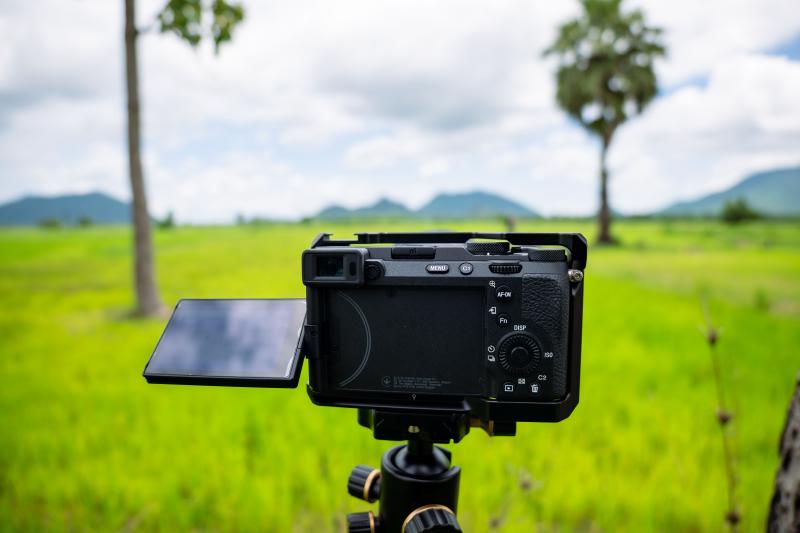 Trail Cameras & Scouting
