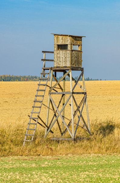 Tree Stands & Blinds
