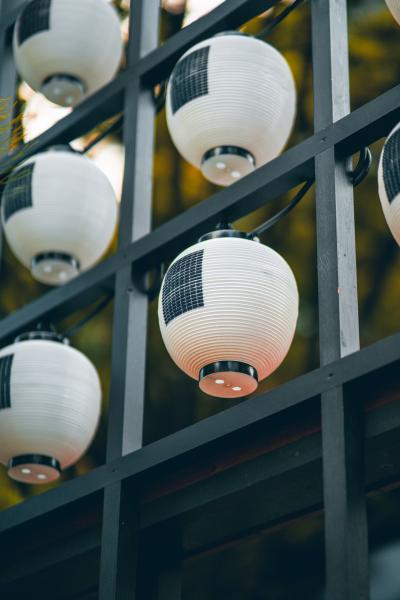 Solar Garden Lights