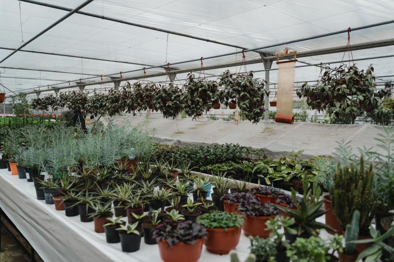 Horticulture