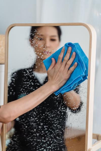 Window Cleaning Services