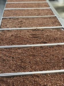 Freeze Dried Organic Red Quinoa