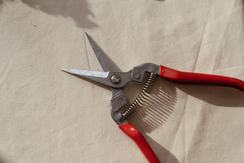 Metal Shears