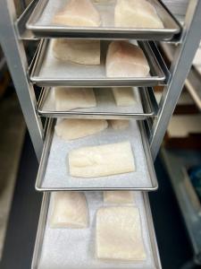 Freeze Dried Freshly Wild Caught Uncooked Chilean Sea Bass