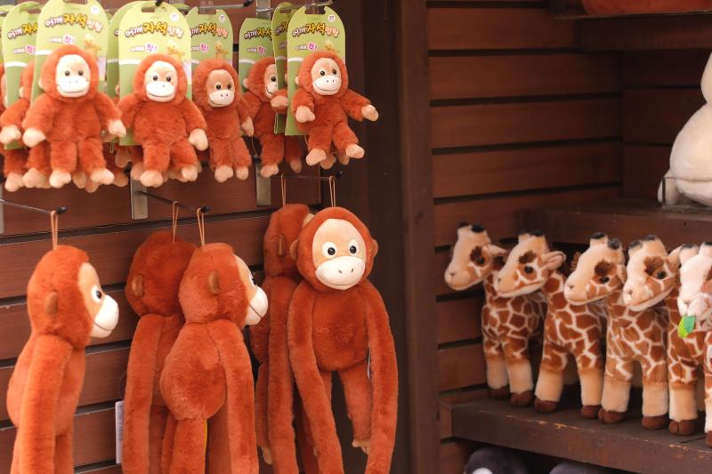 Toys for Animals