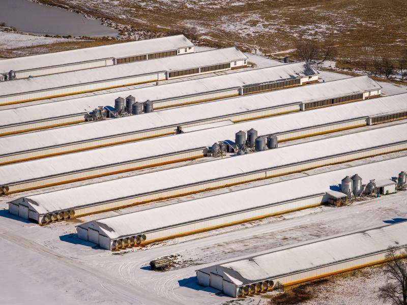 Feed Storage & Transport