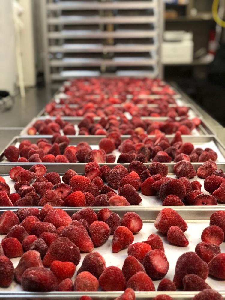 Freeze Dried Strawberries and Chocolate Cake Combo Box