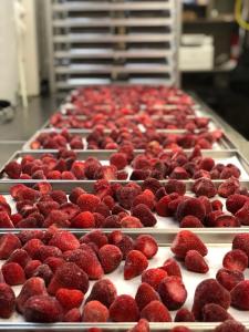 Freeze Dried Strawberries and Chocolate Cake Combo Box