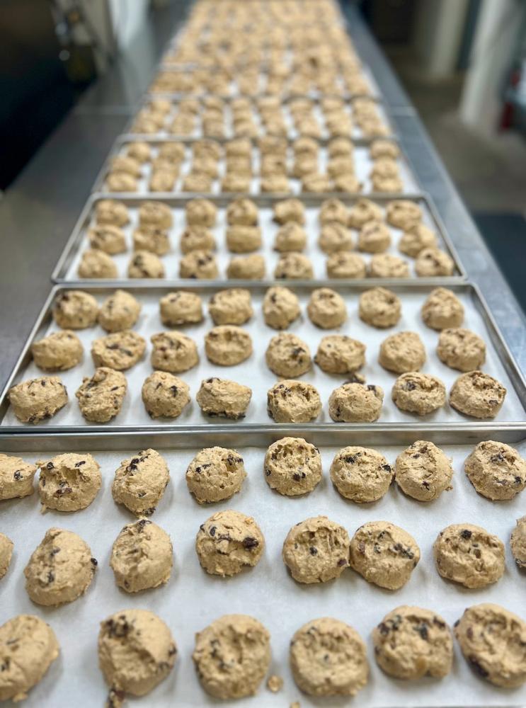 Freeze Dried Oatmeal Raisin Cookie Dough