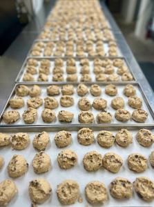 Freeze Dried Oatmeal Raisin Cookie Dough