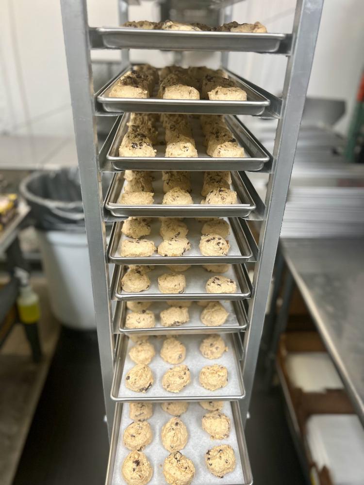 Freeze Dried Oatmeal Raisin Cookie Dough