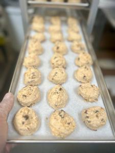 Freeze Dried Oatmeal Raisin Cookie Dough