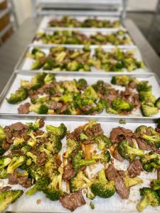 [PRE-SALE] Freeze Dried Gourmet American-Chinese Inspired Fully Prepared Broccoli Beef Entree