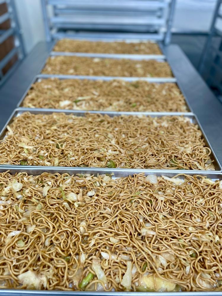 [LIMITED PRODUCTION] Freeze Dried Gourmet American-Chinese Inspired Fully Prepared Chow Mein