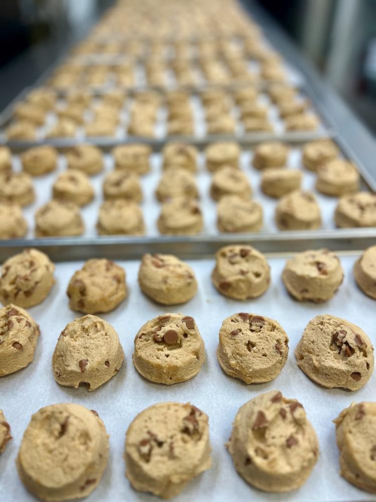 Freeze Dried Peanut Butter Chip Cookie Dough